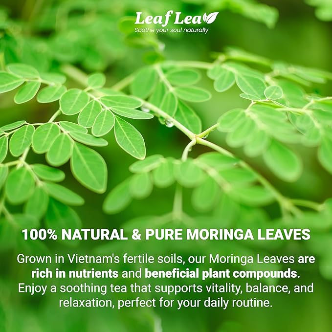 LeafLea 40 Moringa Tea Bags, 100% Natural and Pure Moringa Leaf Herbal Tea, Supports Digestion and Immune Health, Caffeine-Free, Sugar-Free, Vegan