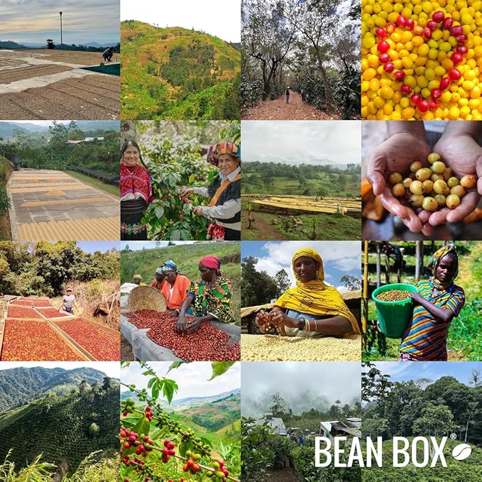 Decaf Colombia Huila - Roasted by Perc Coffee - Whole Bean Coffee - 2 Pound Bag