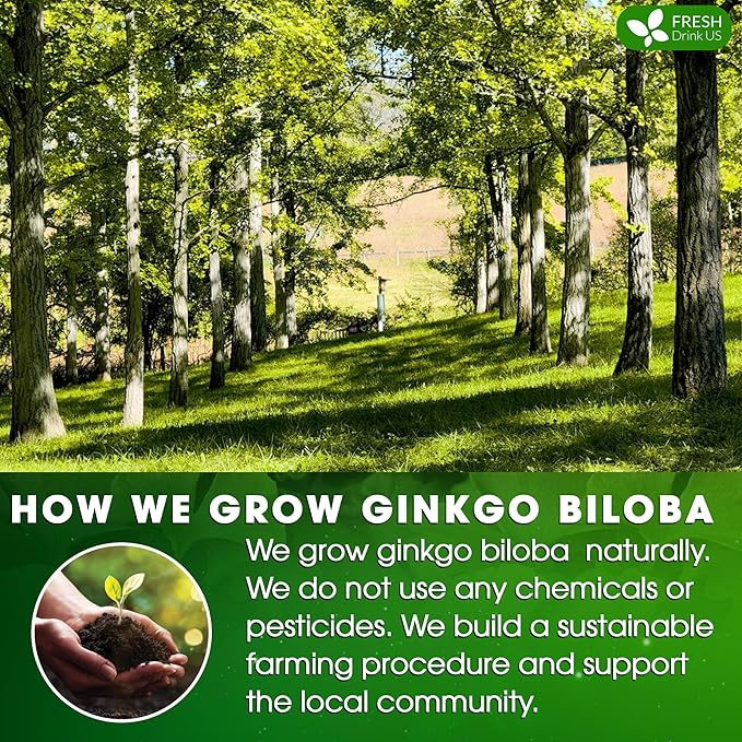 FreshDrinkUS, Premium 30 Ginkgo Biloba Leaf Tea Bags, 100% Natural & Pure from Ginkgo Biloba Leaves. Loose Leaf Herbal Tea. Made with Eco-Conscious Tea Bags. No Sugar, No Caffeine, No Gluten, Vegan.