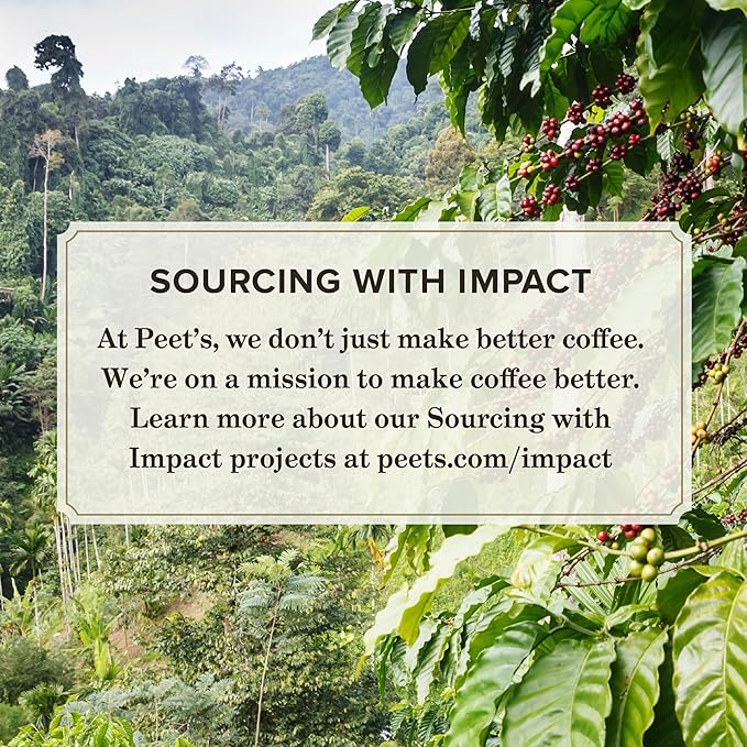 Peet's Coffee, Dark Roast Espresso Capsules, Compatible with Nespresso Original Machine - Ristretto Intensity 10, 100 Count (10 Boxes of 10 Espresso Capsules)