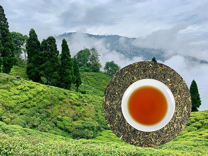 Greenhilltea - Darjeeling Margaret's Hope (TGFOP) Second Flush - Premium Loose Leaves Black Tea From Himalayas- Medium Caffeine-Mellow and aromatic with muscatel notes – 4 OZ. Tea in Foil Bag.