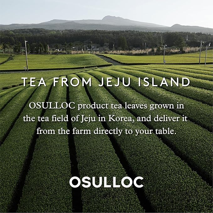OSULLOC Pure Green Tea (Mild, Clean tasting Aroma), USDA Organic, Premium Blended Tea from Jeju, Tea Bag Series 20 count