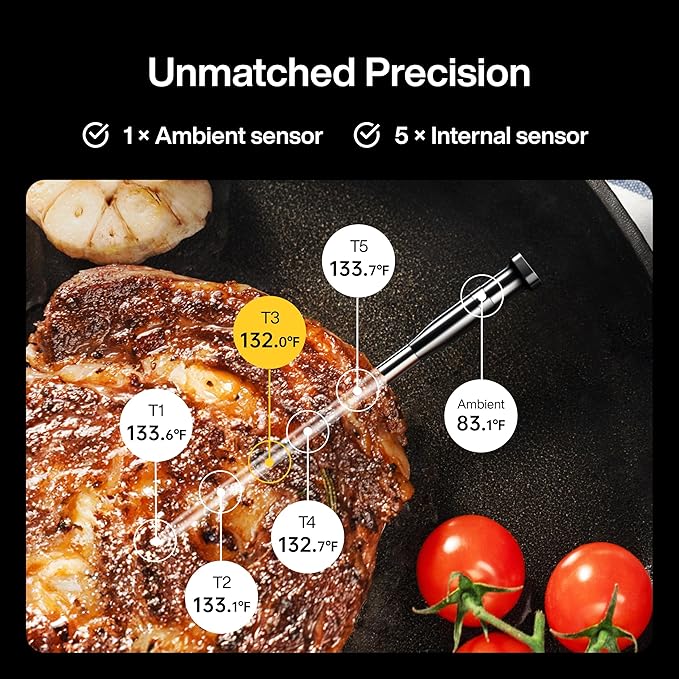 Sync One Smart Wireless Meat Thermometer: Standalone Base with LCD Display, Unlimited WiFi & Bluetooth Range, Enhanced Signal Stability for BBQ, Grill, Oven, and Smoker