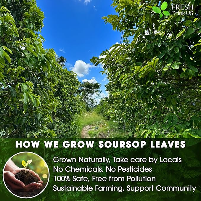 40 Premium Soursop Graviola Leaf Tea Bags, 100% Natural and Pure from Soursop Leaves, Handmade, Made With Natural Materials-Corn Fiber Tea Bag, Sugar/Caffeine/Gluten Free, Hoja Guanabana Tea