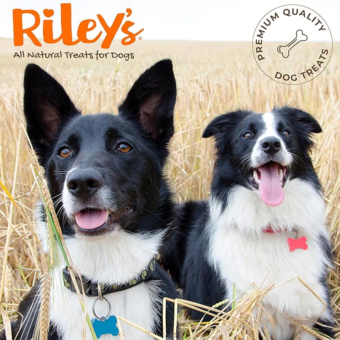 Riley's Slims Dried Sweet Potato Dog Treats - Dehydrated Chews with Turmeric - Limited Ingredient USA Sourced Sweet Potato - Made in The USA - 7.5 oz
