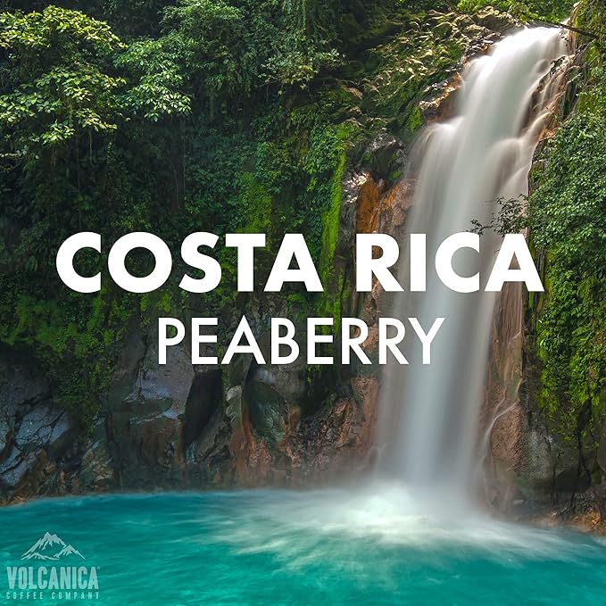 Costa Rica Peaberry Coffee, Ground, Medium Roast, Fresh Roasted, 5 lbs