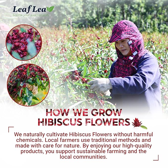 LeafLea 40 Premium Natural Hibiscus Tea Bags, 100% Pure from Hibiscus Flowers, Caffeine-Free Herbal Tea, Hibiscus Flower Tea Rich in Natural Goodness and Flavor, No Sugar, Gluten-Free, Vegan