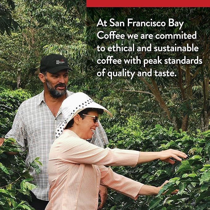 San Francisco Bay Compostable Coffee Pods – Bay Bridge Blend (80 Ct) K Cup Compatible, Medium Roast