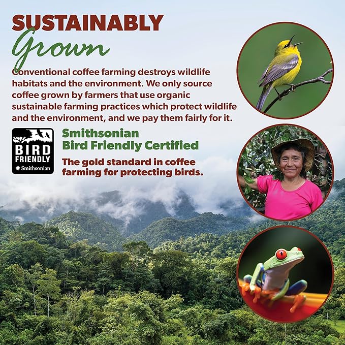 Low Acid Organic Coffee – Whole Bean, Mold-Free & Stomach Friendly by Java Planet, Peruvian Single Origin Coffee, Medium Dark Roast, Smooth Full Flavored, Smithsonian Bird Friendly, 1LB Bag