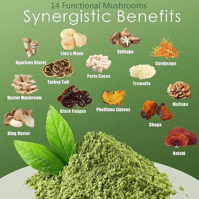 Mushroom Matcha Latte, Ceremonial Matcha Green Tea Powder with 14 Mushrooms, Probiotics and MCT Powder | Lion's Mane, Reishi & Chaga | Instant Latte Mix, Non-GMO, Vegan & Sugar-Free | 6.35 Oz
